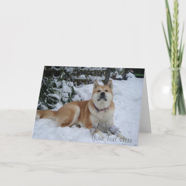 Cartes Pour Fêtes Annuelles beau chien akita reposant dans la neige noël (Devant)