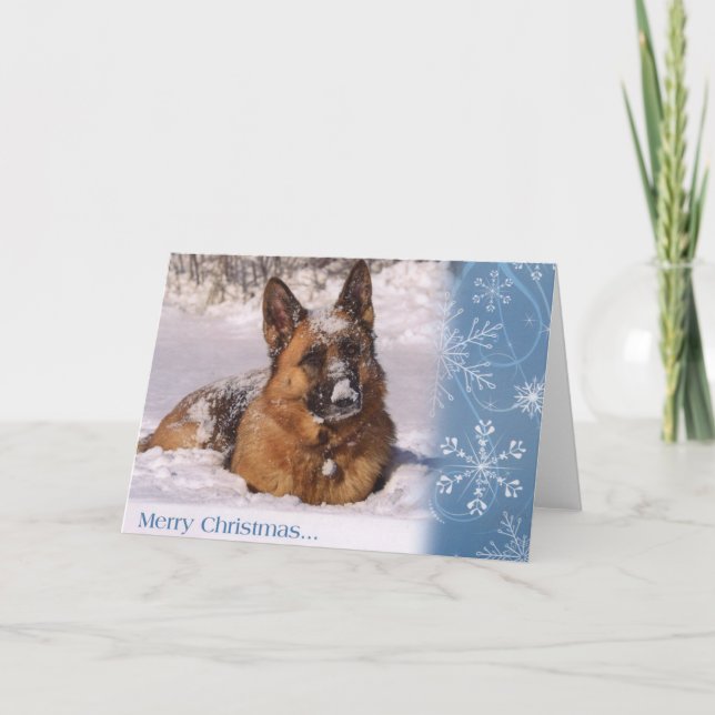 Cartes Pour Fêtes Annuelles Beau chien de berger allemand dans la neige (Devant)