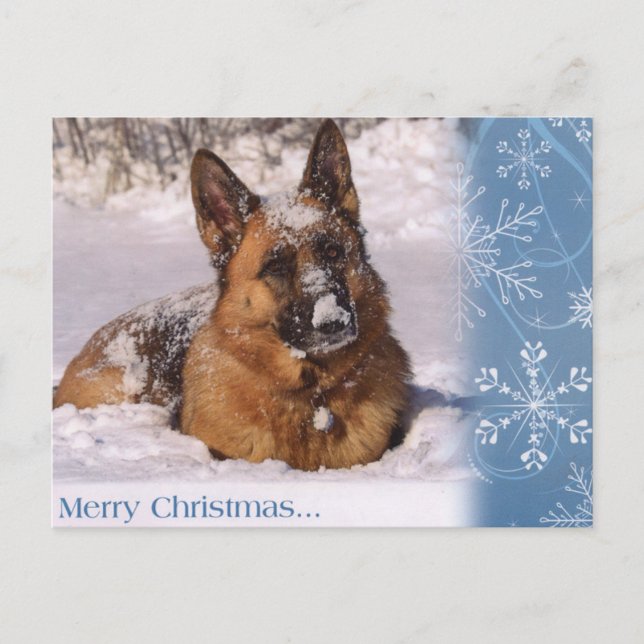 Cartes Pour Fêtes Annuelles Beau chien de berger allemand dans la neige (Devant)