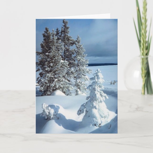 Cartes Pour Fêtes Annuelles Beau hiver blanc Vacances d'affaires Noël (Devant)