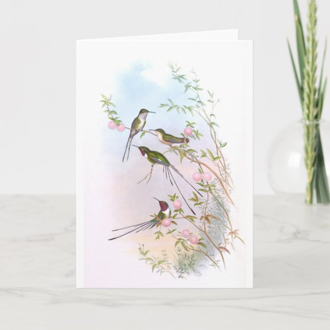 CARTES POUR FÊTES ANNUELLES BEAU HUMMINGBIRDS (Devant)