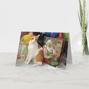 Cartes Pour Fêtes Annuelles Beau Kagan Apporte Des Cadeaux - Cat Christmas Car