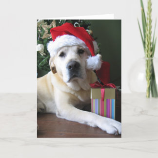 Cartes Pour Fêtes Annuelles Beau Labrador jaune Père Noël