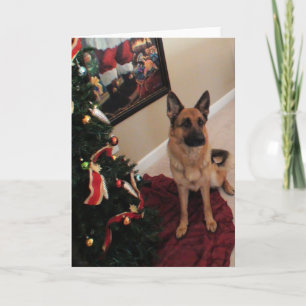 Cartes Pour Fêtes Annuelles Beau Noël de berger allemand