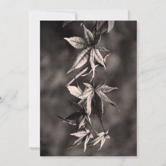 Cartes Pour Fêtes Annuelles Beau Portrait japonais Feuille d'érable Sepia