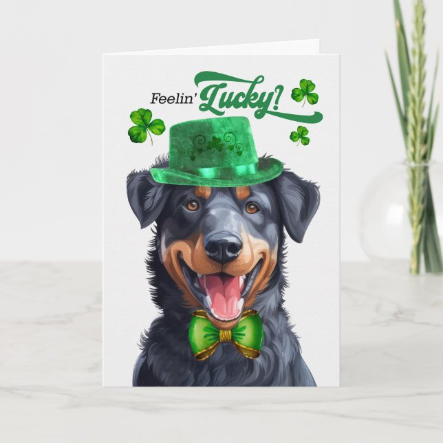 Cartes Pour Fêtes Annuelles Beauceron Chien Feelin' Lucky St Patrick's Day (Devant)