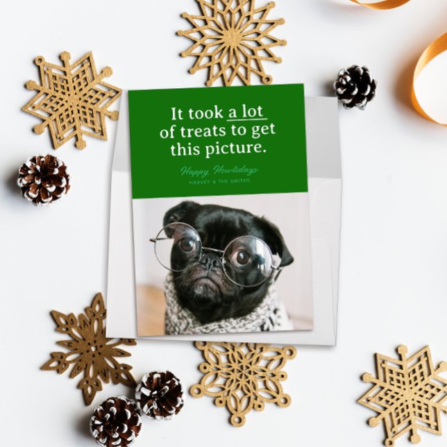 Cartes Pour Fêtes Annuelles Beaucoup de friandises vertes Joyeux Howlidays Ani (Funny pet photo holiday card reads "it took a lot of treats to get this picture" on a block of green)