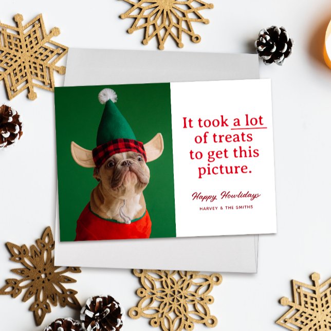 Cartes Pour Fêtes Annuelles Beaucoup de soins Happy Howlidays Funny Pet ("It took a lot of treats to get this picture" funny holiday pet photo card, red text on white)
