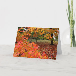 Cartes Pour Fêtes Annuelles Beauté d'automne