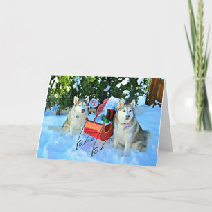 Cartes Pour Fêtes Annuelles Beautiful Siberian Huskies in snow