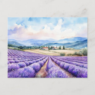 Cartes Pour Fêtes Annuelles Beaux champs de lavande