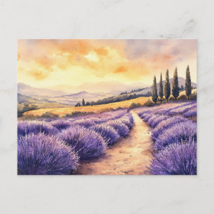 Cartes Pour Fêtes Annuelles Beaux champs de lavande