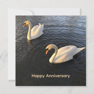 Cartes Pour Fêtes Annuelles Beaux cygnes Anniversaire