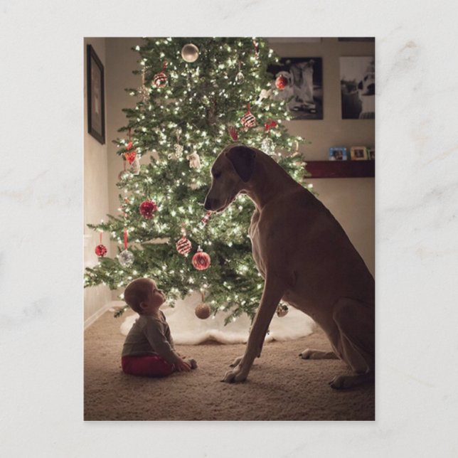 Cartes Pour Fêtes Annuelles Bébé et chien de Noël meilleur ami (Devant)