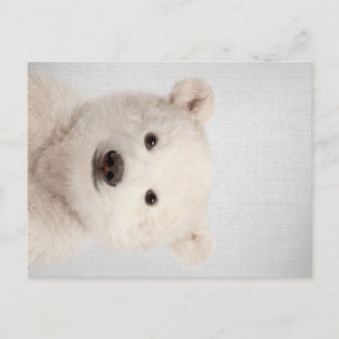 Cartes Pour Fêtes Annuelles Bébé Polar Ours coloré