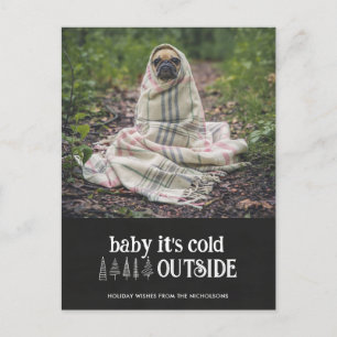 Cartes Pour Fêtes Annuelles Bébé son froid dehors mignon animal photo de vacan