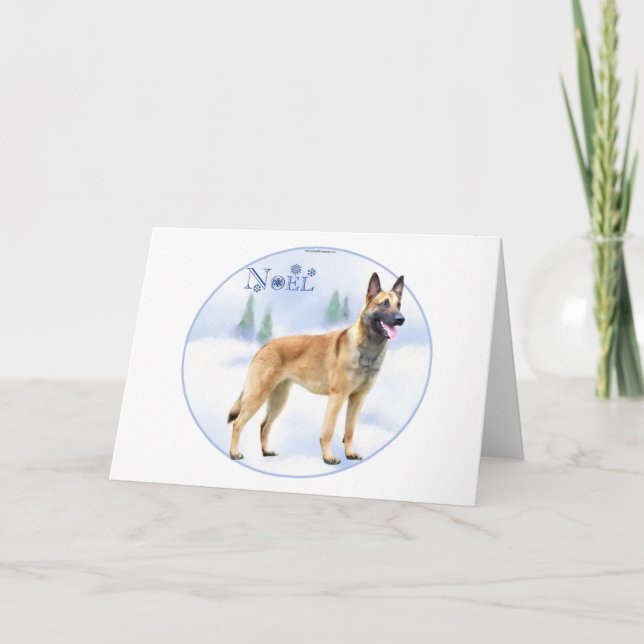 Cartes Pour Fêtes Annuelles Belge Malinois de Noel (Devant)