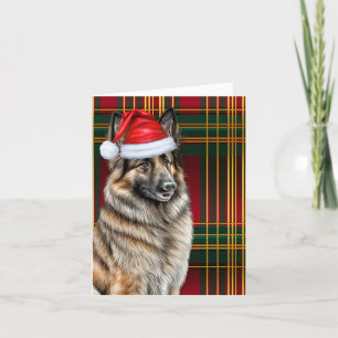 Cartes Pour Fêtes Annuelles Belge Tervuren Christmas Chien vacances Plaid