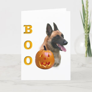 Cartes Pour Fêtes Annuelles Belgian Malinois Boo
