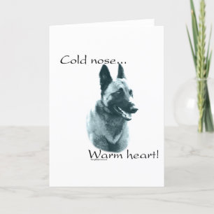 Cartes Pour Fêtes Annuelles Belgian Malinois Cold Nose Warm Heart