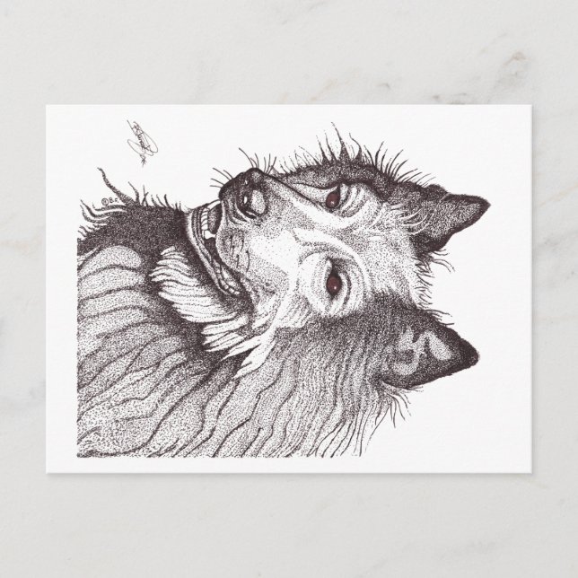 CARTES POUR FÊTES ANNUELLES BELGIAN SHEPHERD GROENENDAEL (Devant)