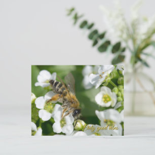 Cartes Pour Fêtes Annuelles Belle abeille sur des fleurs blanches