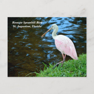 Cartes Pour Fêtes Annuelles Belle ardoise de seate