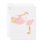 Belle chatte rose, c’est une fille !