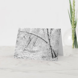 Cartes Pour Fêtes Annuelles Belle Crique en bois recouverte de neige blanche d