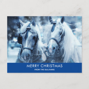Cartes Pour Fêtes Annuelles Belle équipe Cheval hiver Photo Noël