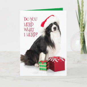 Cartes Pour Fêtes Annuelles Belle frontière d'élevage Collie et cadeaux de Noë
