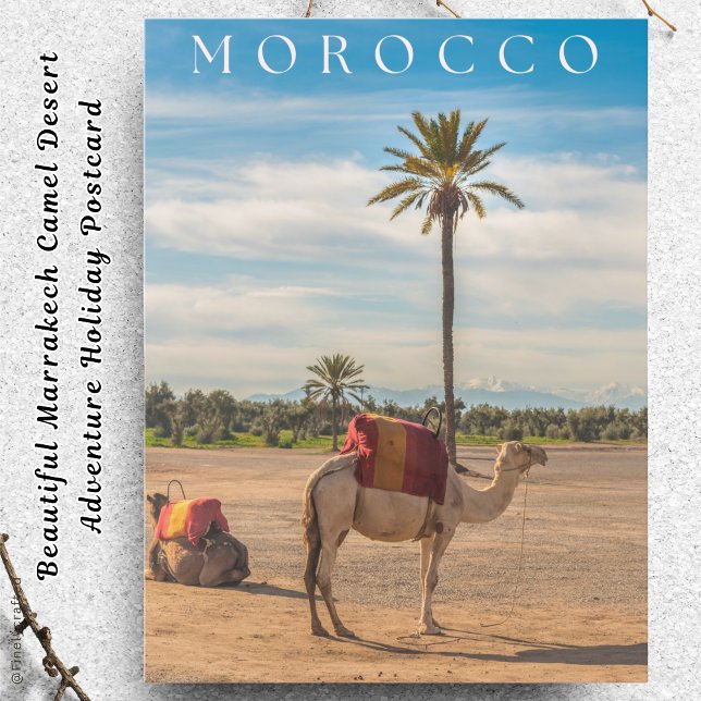 Cartes Pour Fêtes Annuelles Belle Marrakech Camel Desert Adventure (Créateur téléchargé)