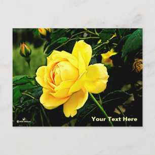 Cartes Pour Fêtes Annuelles Belle Rose Jaune