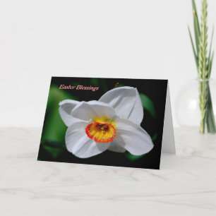 Cartes Pour Fêtes Annuelles Bénédictions de Pâques