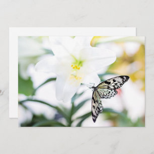 Cartes Pour Fêtes Annuelles Bénédictions de Pâques 1 Jean 2:25 Verse de la Bib