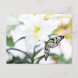 Cartes Pour Fêtes Annuelles Bénédictions de Pâques 1 Jean 2:25 Verse de la Bib