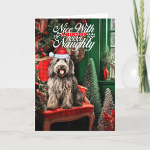 Cartes Pour Fêtes Annuelles Bergamasco Berger Chien de Noël Naughty ou Nice