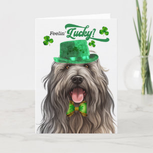 Cartes Pour Fêtes Annuelles Bergamasco Chien Lucky St Patrick's Day