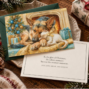 Cartes Pour Fêtes Annuelles Berger Allemand Chaton Blanc Endormi Noël