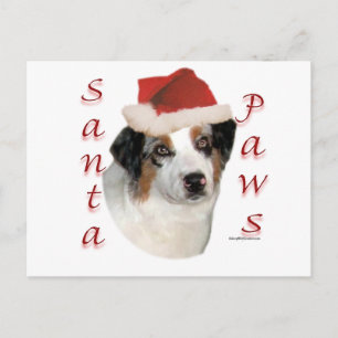 Cartes Pour Fêtes Annuelles Berger australien Père Noël Paws