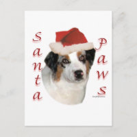 Berger australien Père Noël Paws