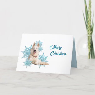 Cartes Pour Fêtes Annuelles Berger Blanc Allemand allongé dans les flocons de 