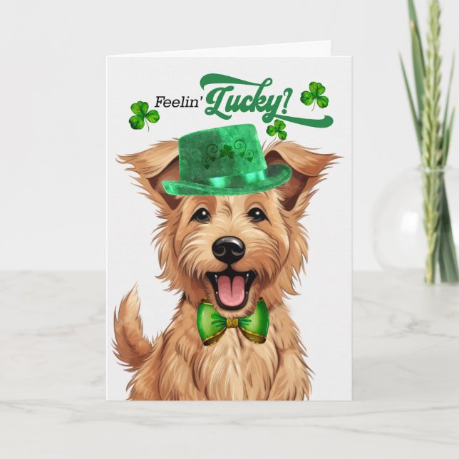 Cartes Pour Fêtes Annuelles Berger Picard Chien Lucky St Patrick's Day (Devant)