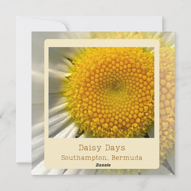 Cartes Pour Fêtes Annuelles Bermudes Daisy Flat Card (Dos)