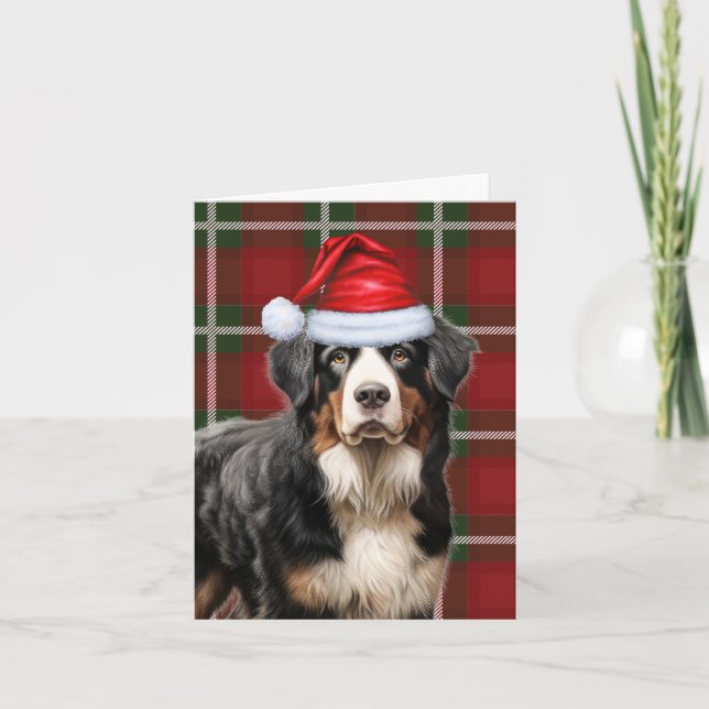 Cartes Pour Fêtes Annuelles Bernese Mountain Dog Noël Jour de Noël Plaid (Devant)