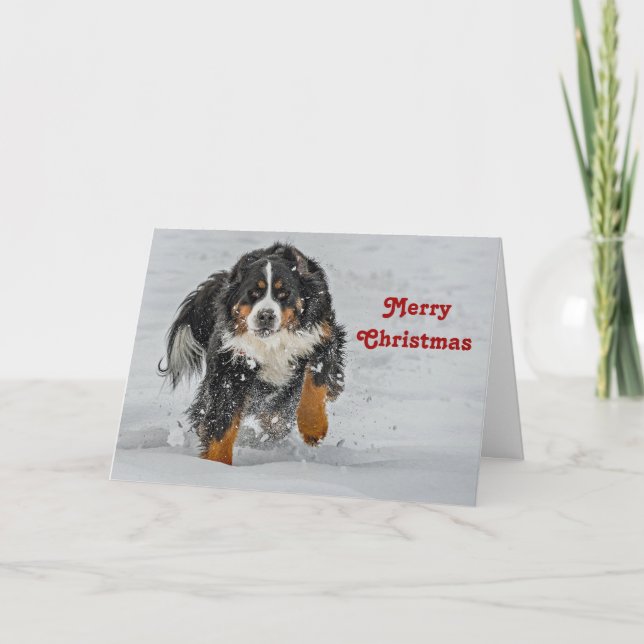 Cartes Pour Fêtes Annuelles Bernese Mountain Dog Photo de neige Noël (Devant)