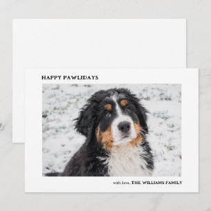 Cartes Pour Fêtes Annuelles Bernese Mountain Dog Photo Mini Noël