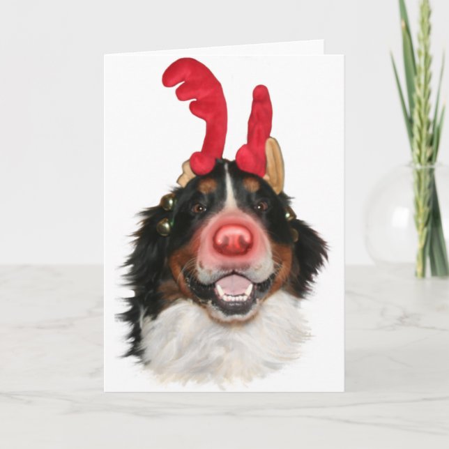 Cartes Pour Fêtes Annuelles Bernese Roodolph (Rudolph) (Devant)