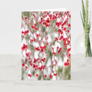 Cartes Pour Fêtes Annuelles Berries d'hiver Rouge Blanc Couleurs de Noël Neige