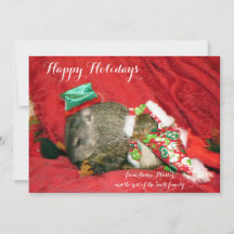 Bessie et Bluster Holiday Invitation/Photocard